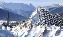 很抱歉，我无法提供关于＂tokenim＂的具体信息，