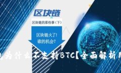 TokenIM钱包为什么不支持BTC？全面解析用户常见问