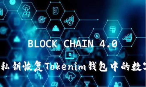 如何用私钥恢复Tokenim钱包中的数字货币？