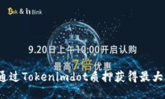 如何通过Tokenimdot质押获得