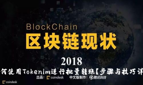 如何使用Tokenim进行批量转账？步骤与技巧详解
