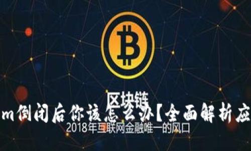 优质
Tokenim倒闭后你该怎么办？全面解析应对策略