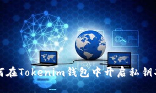 如何在Tokenim钱包中开启私钥功能