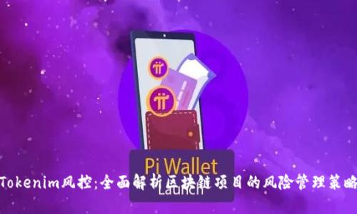 Tokenim风控：全面解析区块链项目的风险管理策略