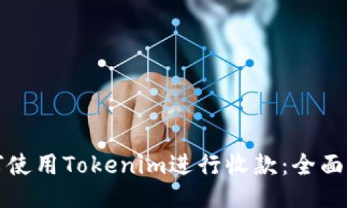 如何使用Tokenim进行收款：全面指南