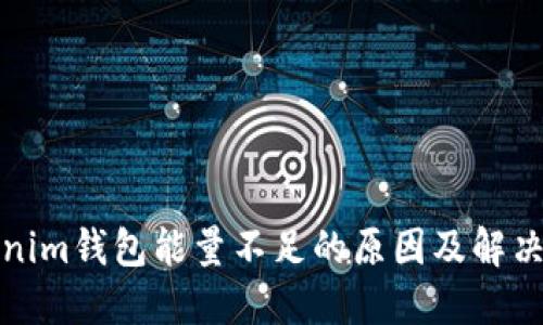 Tokenim钱包能量不足的原因及解决方案