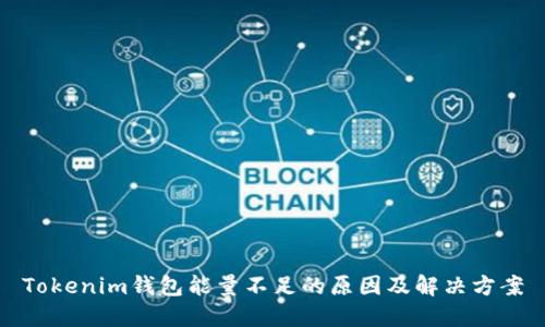Tokenim钱包能量不足的原因及解决方案