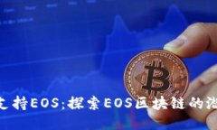 Tokenim支持EOS：探索EOS区块