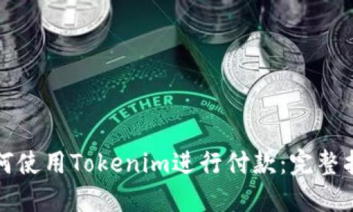 如何使用Tokenim进行付款：完整指南