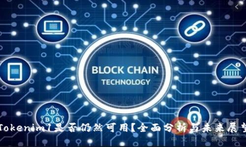 Tokenim1是否仍然可用？全面分析与未来展望