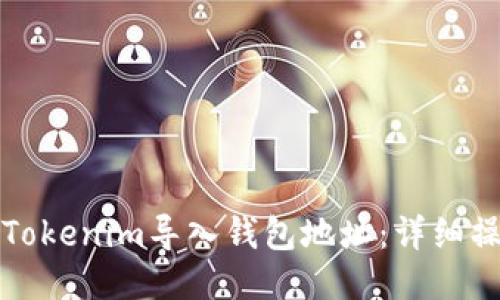 如何将Tokenim导入钱包地址：详细操作指南