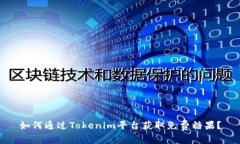 如何通过Tokenim平台获取免