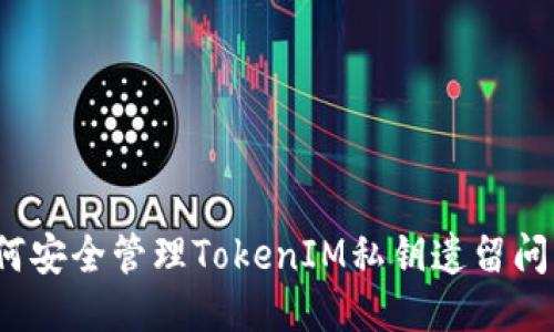 如何安全管理TokenIM私钥遗留问题？