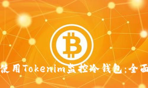 如何使用Tokenim监控冷钱包：全面指南