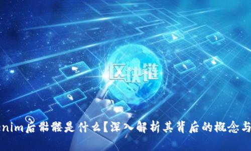 Tokenim后骷髅是什么？深入解析其背后的概念与应用