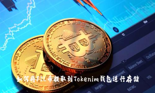 如何将FIL币提取到Tokenim钱包进行存储