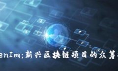 TokenIm：新兴区块链项目的