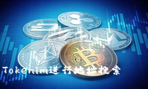 如何使用Tokenim进行地址搜索——完整指南