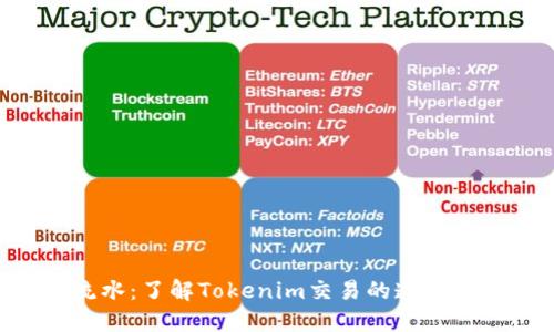 Tokenim流水：了解Tokenim交易的透明性与安全性