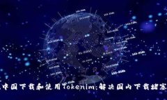 如何在中国下载和使用T