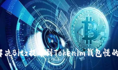 如何解决Bitz提币到Tokenim钱包慢的问题？