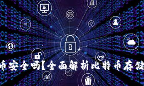 Tokenim存比特币安全吗？全面解析比特币存储的安全性与风险