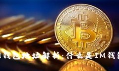 IM钱包地址解析：什么是