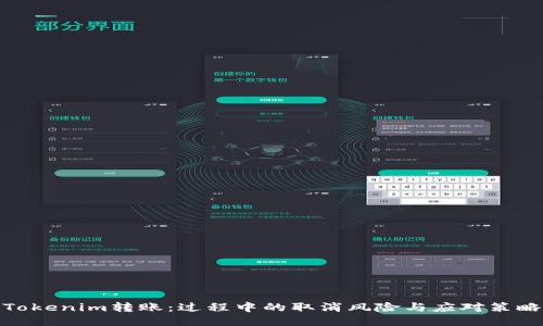 Tokenim转账：过程中的取消风险与应对策略