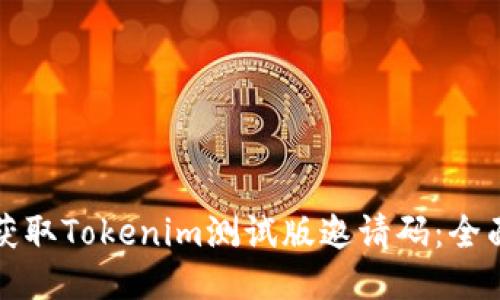 如何获取Tokenim测试版邀请码：全面指南