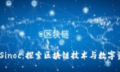 Tokenim Sinoc：探索区块链技