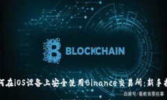 如何在iOS设备上安全使用