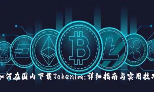 如何在国内下载Tokenim：详细指南与实用技巧
