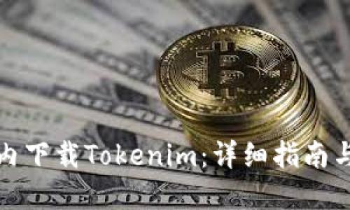 如何在国内下载Tokenim：详细指南与实用技巧
