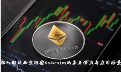 深入解析北京链安tokenim的