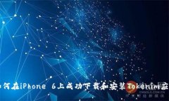 如何在iPhone 6上成功下载和