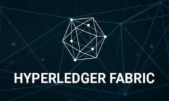   Tokenim：理解区块链世界