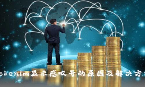 Tokenim显示感叹号的原因及解决方法