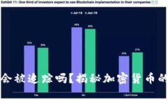 Tokenim的USDT会被追踪吗？揭