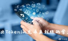 如何解决Tokenim充币未到账