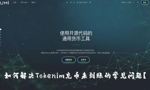 如何解决Tokenim充币未到账的常见问题？