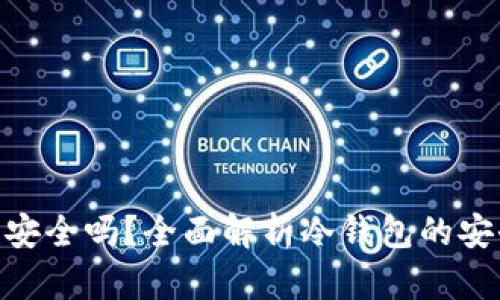 Tokenim冷钱包安全吗？全面解析冷钱包的安全性及选择指南