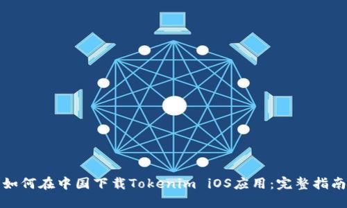 如何在中国下载Tokenim iOS应用：完整指南