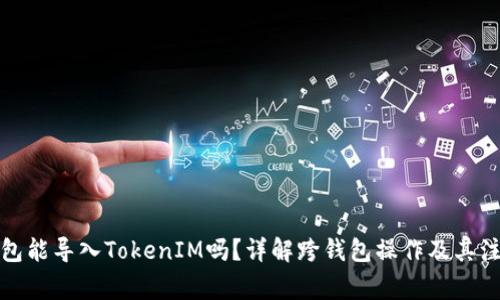 火币钱包能导入TokenIM吗？详解跨钱包操作及其注意事项