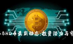 2021年BHD币最新动态：投资