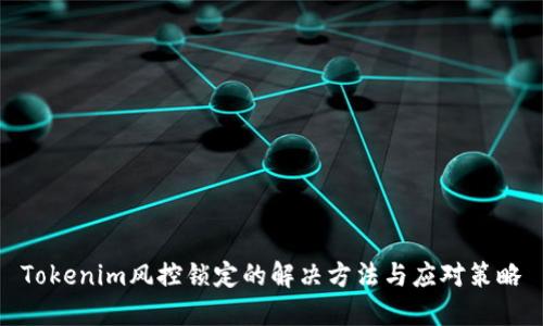 Tokenim风控锁定的解决方法与应对策略
