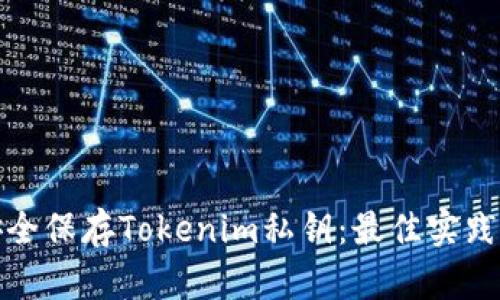 如何安全保存Tokenim私钥：最佳实践与技巧