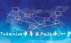 如何在Tokenim中导出Puls币：