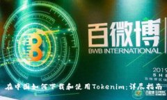 在中国如何下载和使用T