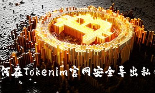 如何在Tokenim官网安全导出私钥？
