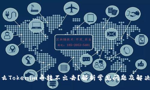 为什么Tokenim币转不出去？解析常见问题及解决方案